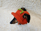 Pumpkin Panama Dog Hat Halloween Summer Hat with Open Ears for Dachshund Pet Clothes Photo Shoot Gift for Dog Mom