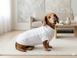 Dachshund Clothing: White Party Sweater, White Dachshund or Small Dog Sweater