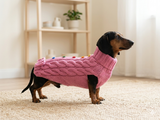 Dog sweater with aran bow and wooden buttons, dachshund clothing outfit