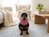 Knitted Dachshund Santa Hat: Wool Blend Christmas Dog Costume