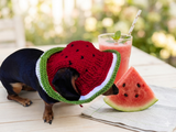 Watermelon Dog Bucket Hat, summer panama cap with open ears dachshund, pet clothes photo shoot gift dog's mom