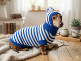 Costume for miniature dachshund sweater and hat, Doxie sweater and hat set, clothes for small dog of dachshund
