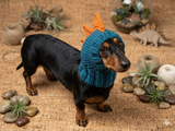 Dino dog hat,dino dog cloches hat snood