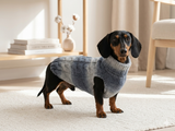 Winter Warm Wool Dog Jumper-Clothes for Dachshund Warm Long Cardigan Sweater-Winter sweater dog with arans