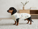 Floral Mini Dachshund Jumper, Dog Coat, Clothes Dog Sweater
