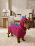 Dragon Dinosaur Winter Dog Clothes Costume Jumper and Hat