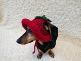 Strawberry Panama Dog Hat Summer Open Ear Hat for Dachshund Pet Clothes Photo Shoot Gift for Dog Mom