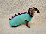 Custom Knitted Dinosaur Outfit for Dachshund – Winter Dog Apparel