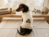Clothes for a dachshund or small dog knitted winter wool warm jumper with a pattern