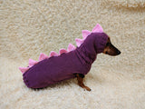 Cute Dino Dog Outfit – Personalized Handcrafted Dog Sweater Set
