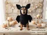Bat Dog Costume, Knitted Puppy Halloween Outfit, Cute Vampire Bat Hoodie with Wings and Ears, Small Dog and Dachshund Apparel