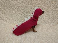 Dachshund Halloween Dinosaur Outfit Costume Sweater and Hat