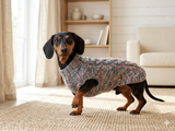 Dachshund or small dog gray sweater with black bow