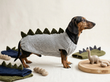 Dachshund Dinosaur Knit Sweater | Handmade Stegosaurus Dog Coat