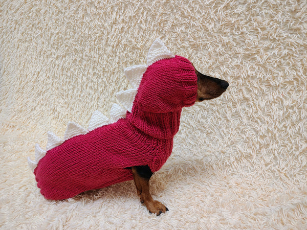 Dachshund Halloween Dinosaur Outfit Costume Sweater and Hat