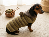 Warm Wool Stylish Clothes Pet Coat, Dog Hoodie, Dachshund Hooded Sweaters, Clothing for dachshund or small dog with sweater with hoodie