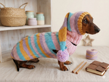 Bright rainbow santa costume for pets, sweater and hat set for dogs