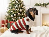 Christmas Striped Dog Sweater With Pom Poms-green red white stripe christmas clothes for pets