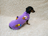 Dog Sweater with Ice Cream, Knitted Puppy Clothes, Cute Small Dog Clothes, Handmade Pet Sweater, Ice Cream Cone Dog Outfit