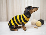 Bee knitted jumper for pets, bee sweater for dog, dachshund bee dog sweater