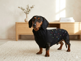 Pet Clothes Rainbow Beaded Jumper Dog Party Sweater Dog Photo Shoot Clothes