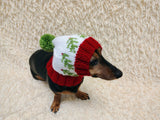 Spruce branch Paw Print Dog Hat PomPom, Designer Pet Party Clothes outfit, Warm Winter knitted Dachshund cap with Pattern, gift dogs lover