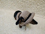 Cowboy Panama hat for dogs, summer cap dachshund, sun protection with open ears panama pet outfit apparel lover gift