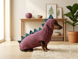 Knitted Dinosaur Dog Costume – Warm Dino Sweater with Matching Hat