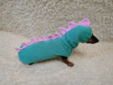 Dinosaur Dachshund Sweater with Hat  Knitted Dog Costume for Wieners