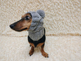 Dog hat with pom poms wool, warm hat for dachshund, wool hat for small dogs