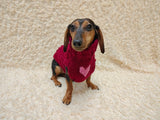 Wool Heart sweater with arans for a dog, dachshund warm clothes jumper with Cable