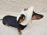 Teddy Bear Summer sun hat dogs with holes for ears. Hand knitted sun cap dachshund. Stylish Pet Photo Props and Gift Dog Moms