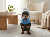 Knitted Dachshund Santa Hat: Wool Blend Christmas Dog Costume