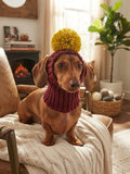 Hat for dog with pompom and holes for the ears