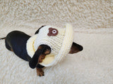 Teddy Bear Summer sun hat dogs with holes for ears. Hand knitted sun cap dachshund. Stylish Pet Photo Props and Gift Dog Moms