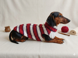 Dachshund clothes knitted sweater, knitted wool sweater for dachshund or small dog