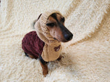 Sweatshirt winter coat for dogs, jumper for dachshunds, hoodies for pets