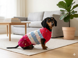 Striped floral bright outfit for a dog with flowers