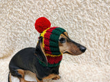 Multi-Color Striped Dog Snood: Hand-Knit Pom-Pom Beanie for Dachshunds