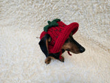 Strawberry Panama Dog Hat Summer Open Ear Hat for Dachshund Pet Clothes Photo Shoot Gift for Dog Mom