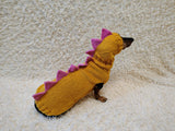 Dino-Themed Dog Sweater Set – Unique Handmade Pet Outfit