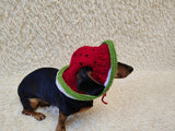 Watermelon Dog Bucket Hat, summer panama cap with open ears dachshund, pet clothes photo shoot gift dog's mom