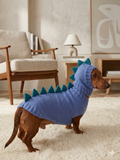 Dragon Dinosaur Winter Dog Clothes Costume Jumper and Hat