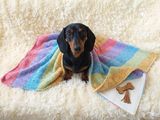 Dachshund Dog Blanket, Soft Pet Mat, Plush Boucle Puppy Throw, Cozy Small Dog Bed Cover, Handmade Dog Gift,