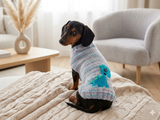 Christmas sweater with dinosaur for dog