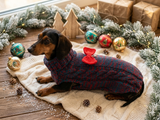 Christmas sweater with bow for dachshund or small dog