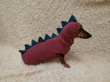 Knitted Dinosaur Dog Costume – Warm Dino Sweater with Matching Hat