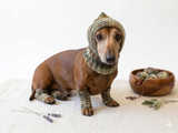 Camouflage kit hat and leggings for dogs, Military kit for dachshunds