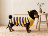 Bee halloween sweatshirt for pets,bee hoodie for dogs,bee clothes for mini dachshund