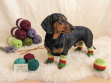 Leggings for dog cat set 4 pieces, leggings for dog,dog gaiters